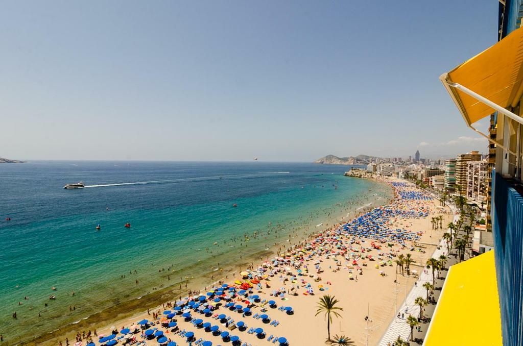 Las Palmeras 15D Daire Benidorm Dış mekan fotoğraf